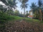 11.78P Residential Bare Land For Sale In Pannipitiya