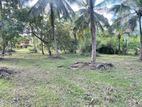117P Prime Coconut Land for Sale at Bingiriya