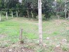 11.8 Perch Highly Residential Land For Sale Kottawa Horahena - New City