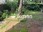 11.8 Perch - House for Sale in Gonamadiththa Rd, Piliyandala KIII-A3