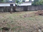 11P BARE LAND FOR SALE IN ATTIDIYA DEHIWALA CLOSE TO MAIN ROAD DISTANCE