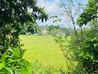 11P High Elevated Land Overlooking Beautiful Paddyfield,Talawathugoda