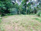 11P Land For Sale in Aruppola (TPS2201)