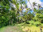 11P Land For Sale in Aruppola (TPS2201)