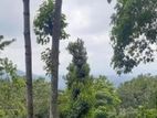 11p Land For Sale in Hanthana - Kandy