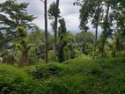 11p land for sale in hanthana - kandy