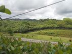 12+ Acre Land Sale in Kuda Uragaha - 15 KM from Bentota – Elpitiya Road