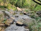 12 Acres land Rent in Matale