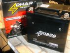 Pulsar 180 Moterbike Battery