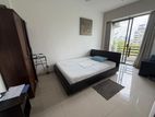 12 Bedrooms Building for Rent in Colombo 8- PDC109
