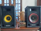 12-Inch MEGAMAXX Speaker Subwoofer Pair with Amplifier