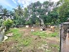 12 P Bare Land for Sale in Pelawatta