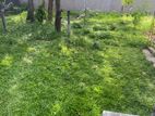 12 P Land 350 m to galle road Rawathawatta Moratuwa