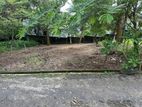 12 P Residential Bare Land For Sale Malabe