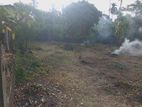 12 P X 2 Blocks Solid Flat Land at Mawittara for Sale