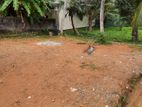 12 Perch Land (02 Blocks of 06 Perches)for Sale on Battaramulla