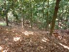 12 Perch Land for Sale in Kandy (TPS2128)