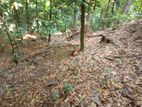 12 perch land for sale in Kandy (TPS2128)