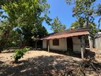 12 Perch Land with House for Sale Arayampathy
