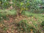 12 Perches Bare Land to sale at Kalalgoda Thalawathugoda.