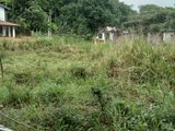 Land for Sale in Matale