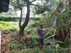 12 Perches Land for Sale - Thelawala Rd , Ratmalana