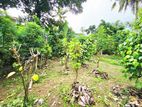 12 Perches Residential Bare Land For Sale