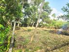 12 Perches Residential Bare Land for Sale