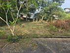12 Perches Residential Bare Land For Sale Kahanthota