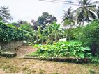 12 Perches Residential Bare Land for Sale Thalawathugoda