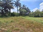 12 Perches Residential Land for Sale in Aswanna Watta, Minuwangoda