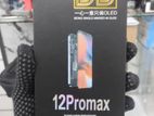 12 PROMAX DD DISPLAY