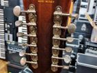 12 Strings Semi Acoustic Italy Guitar