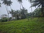 120 acre Coconut Plantation for sale in Kurunegala