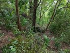 120 P Land for Sale in Ranala Habarakada Kaduwela .