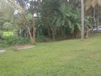 120 Perches Land For Sale in Galle -Unawatuna (SSPL-421)