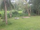 120 Perches Land For Sale in Galle -Unawatuna (SSPL-421)