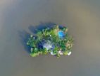 120 Perches - Private Island for Rent Piliyandala Cp44746