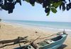 1206 Perch Prime Beachfront Land For Lease – Pasikudah (RML-BATPK-17) - View 5