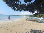 1206 Perch Prime Beachfront Land For Sale – Pasikudah (ML-BATPK-209)