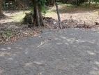 12.19 Perches Land Kotte
