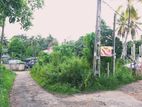 12.3 Perch Land for Sale Avissawella 50m to Highlevel Road