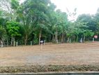 12.40 Perches Land for Sale in Kalutara - "Livia"