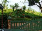 12.5 ACRE TEA LAND FOR SALE- KALAWANA - කලවානෙන් සරුසාර තේ වත්තක්