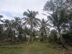 1.25 Acres land for Sale-Hathapola, Bandarakoswaththa, Wariyapola.