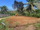 12.5 Bare Land for Sale in Padukka