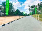 12.5 Bare Land for Sale in Veyangoda