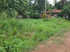 12.5 Land for Sale Katunayake