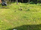 12.5 P Commercial Land for Rent in Boralesgamuwa