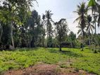 12.5 P Residential Land Blocks for Sale in Balummahara Gampaha